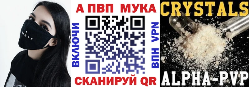 Бошки Шишки Пласт