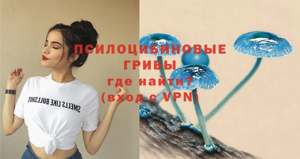 мескалин Нягань
