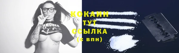 молекула духа Приозерск