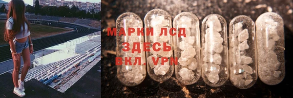 Альфа ПВП Гусев