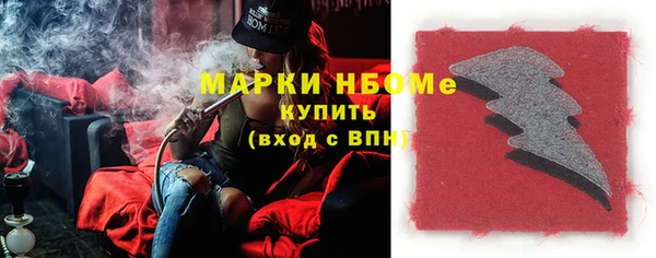 прущие грибы Новозыбков