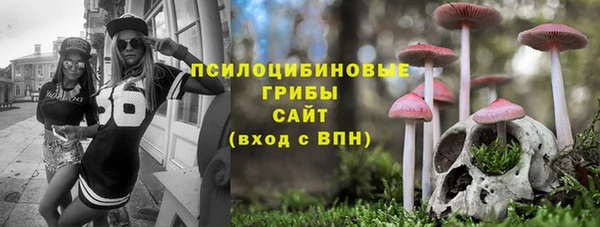apvp Нязепетровск